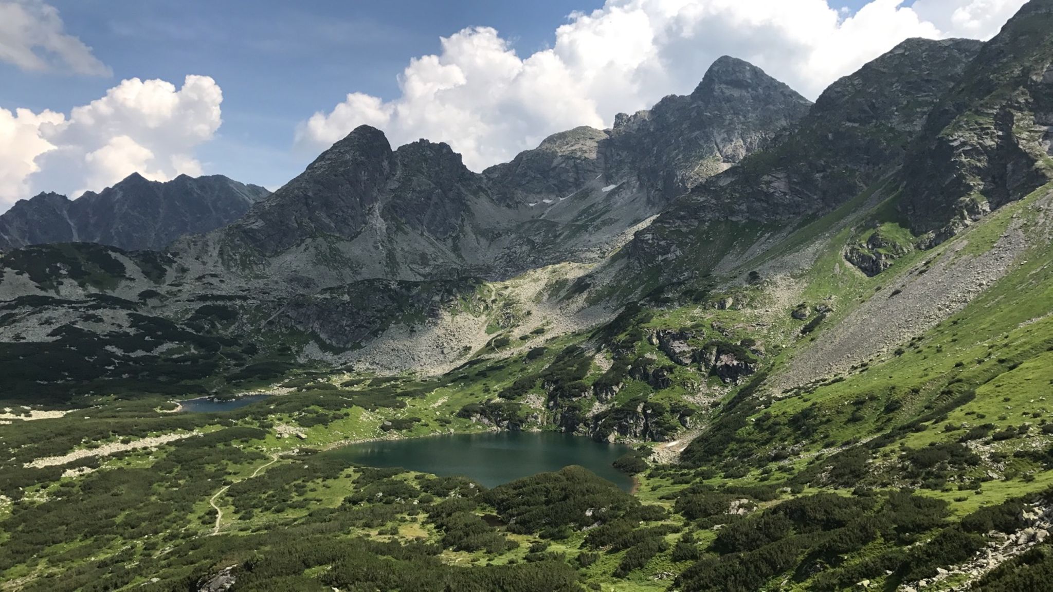 wiktor(wiktoria正确发音)